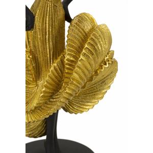 product/m/a/mauro-ferretti_011979000d_black-gold_4.jpg