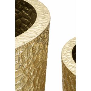 product/m/a/mauro-ferretti_0421100000_gold_3.jpg