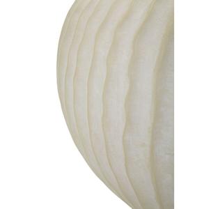 product/m/a/mauro-ferretti_0421550003_cream_4.jpg