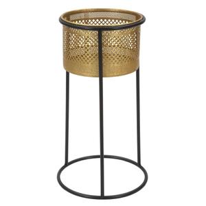 product/m/a/mauro-ferretti_1423930000_gold-black_1.jpg