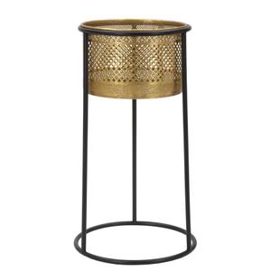 product/m/a/mauro-ferretti_1423930000_gold-black_2.jpg