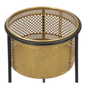 product/m/a/mauro-ferretti_1423930000_gold-black_3.jpg