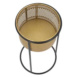 product/m/a/mauro-ferretti_1423930000_gold-black_5.jpg