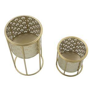 product/m/a/mauro-ferretti_142621000a_gold_2.jpg