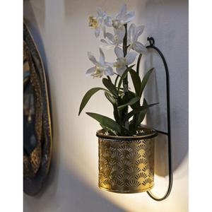 product/m/a/mauro-ferretti_1427840003_black-gold_5.jpg