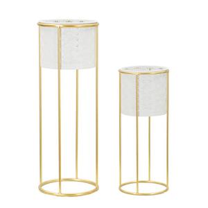 product/m/a/mauro-ferretti_1427910000_gold-white_1.jpg
