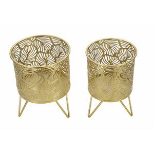 product/m/a/mauro-ferretti_1427950000_gold_2.jpg