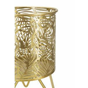 product/m/a/mauro-ferretti_1427950000_gold_3.jpg