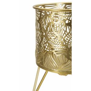 product/m/a/mauro-ferretti_1427950000_gold_4.jpg