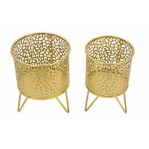 product/m/a/mauro-ferretti_1427960000_gold_2.jpg