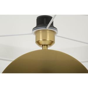 product/m/a/mauro-ferretti_1712370001_gold-white_3.jpg