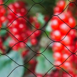 product/n/a/nature_409383_noir_1.jpg
