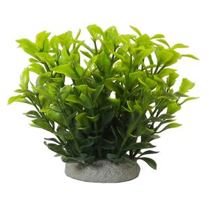 28767-decoration-pour-aquarium-nobby-pet-ludwigia-green-vert-6-5x6-5x11-cm