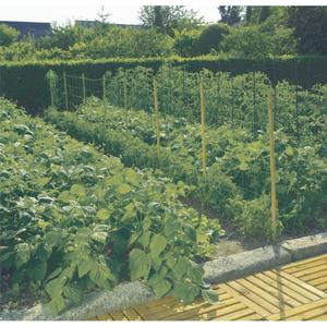product/n/o/nortene_120225_green_1.jpg