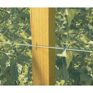 product/n/o/nortene_120225_green_4.jpg