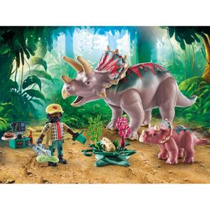 product/p/l/playmobil_a2501915_multicolore_5.jpg