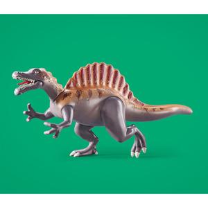 product/p/l/playmobil_a2501916_multicolore_5.jpg
