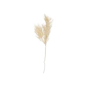 pt3902wh-plante-artificielle-tige-de-fougere-asperge-present-time-blanc-25-4x86-4-cm