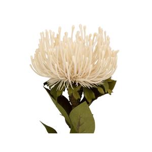 pt3905wh-plante-artificielle-present-time-protea-flower-large-blanc-12-01x73-1-cm