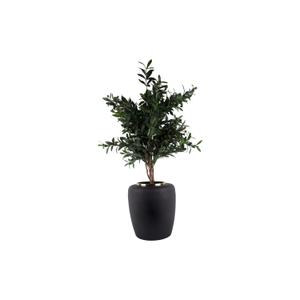 product/p/r/present-time_pt4009bk_2.jpg