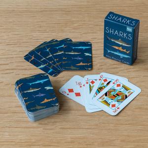 product/r/e/rex-london_30129_bleu_5.jpg