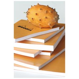 product/r/h/rhodia_15600c_orange_4.jpg