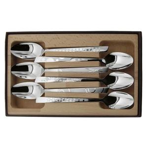 10107-ct-coffret-de-6-cuillers-table-inox-decor-maison-roger-orfevre-argente-tu