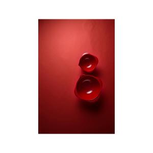 product/r/o/rosti_29813_red-red_6.jpg