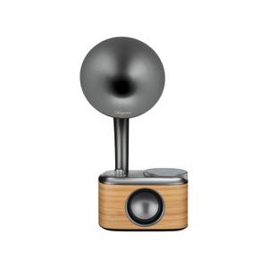 sg-cp100d-lg-radio-de-table-gramophone-dab-plus-fm-aux-bluetooth-usb-ecran-tactile-rechargeable-sangean-cp-100d-wood-tu