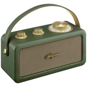 product/s/a/sangean_sg-ra101_fg_green_1.jpg
