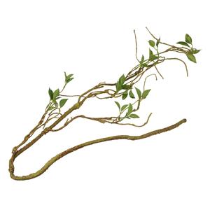 236-469927-accessoire-de-terrarium-branche-de-plante-mince-decoratif-terra-della-vert-130x2x2-cm