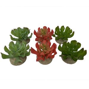product/t/e/terra-della_242-465844.jpg