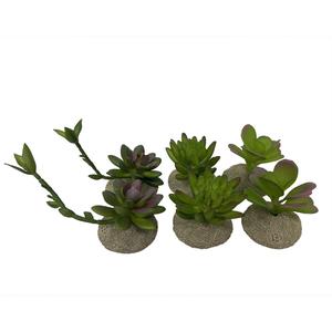 product/t/e/terra-della_242_465875_vert_1.jpg