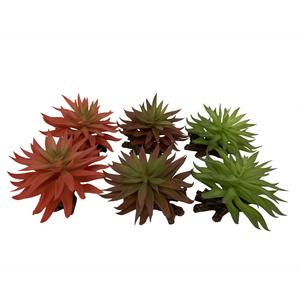 242-465882-decoration-d-aquarium-terra-della-sedum-vert-marron-rouge-13x12-5x10-cm