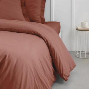 product/t/o/today_350556_terracotta_3.jpg