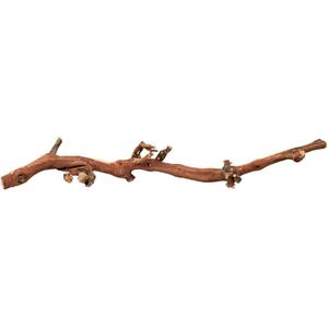 76170-decorations-terrarium-pied-de-vigne-decape-a-l-eau-trixie-marron-marron-l