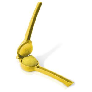 fik-016-presse-citron-vin-bouquet-jaune-vert-tu