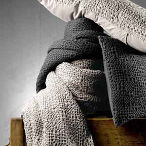 product/v/i/vivaraise_1307487000_1.jpg