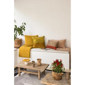 product/v/i/vivaraise_1642030000_2.jpg