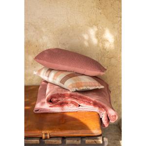 product/v/i/vivaraise_1671086000_terracotta_2.jpg