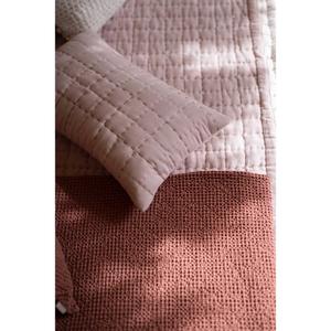 product/v/i/vivaraise_1671086000_terracotta_4.jpg