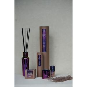 product/w/e/wellmark_8720938454264_2.jpg