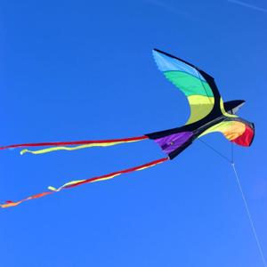 product/w/o/wolkensturmer_wsbonny_multicolore_3.jpg