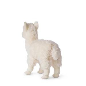 product/w/w/wwf_15198001_blanc_3.jpg