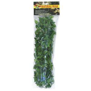 387730-accessoire-de-terrarium-plante-zoomed-mexic-phyllo-vert-tu